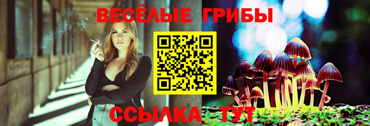 Галлюциногенные грибы MAGIC MUSHROOMS Рассказово